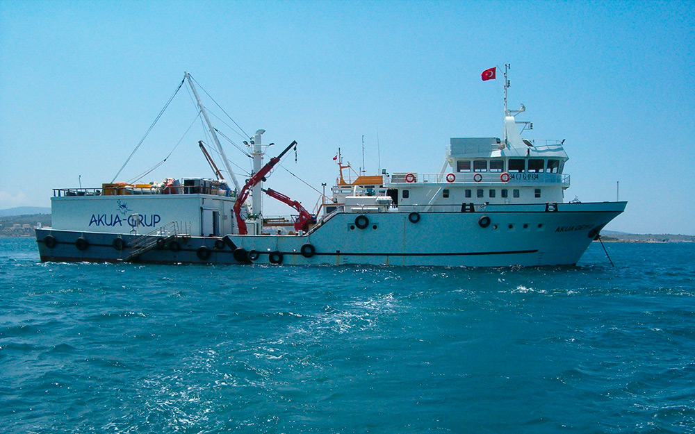 Machine à glace écaille à eau de mer pour les bateaux de pêche - Odimer