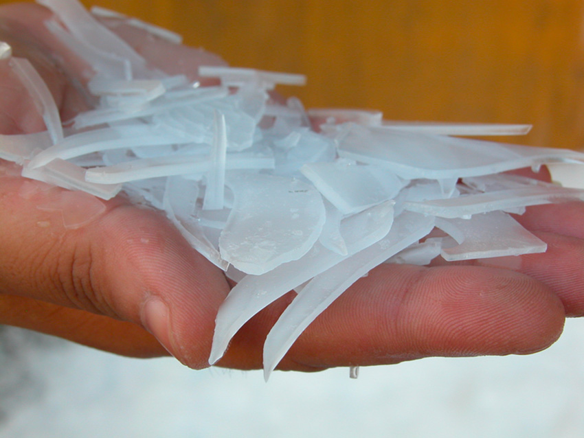 Machine à glace écaille - tropicalisée - 500 kg/jour - F05 A - Odimer