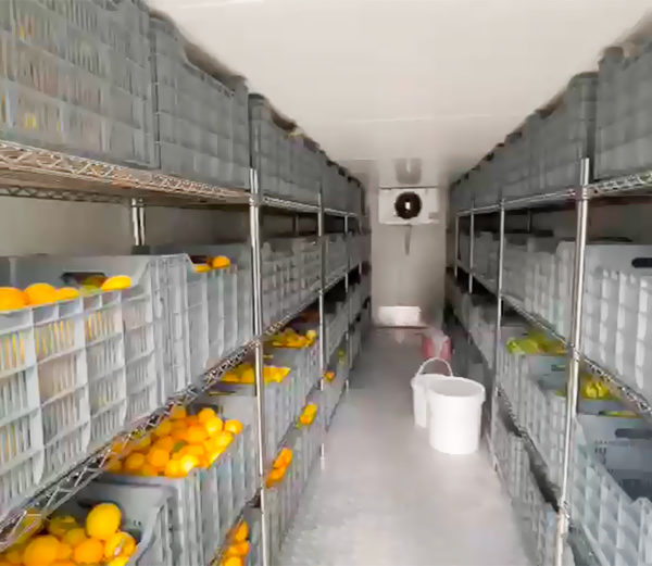 Vue intérieure grande chambre froide à énergie solaire