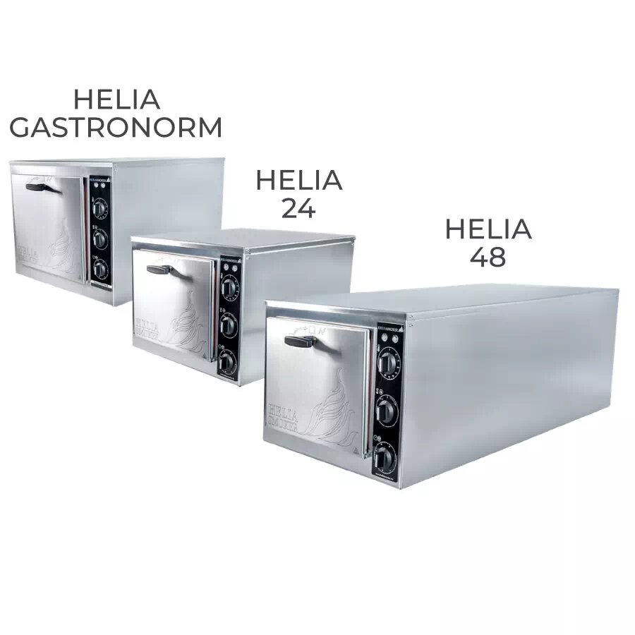 Four fumoir multifonction - Helia 24 - Odimer