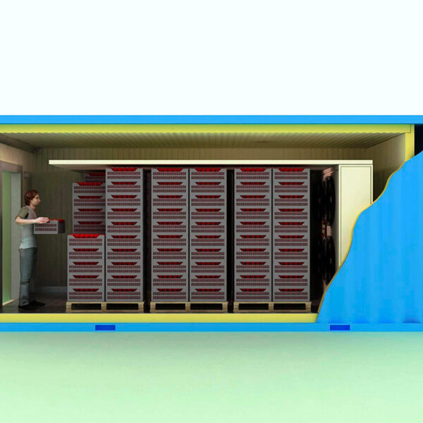 Zone de stockage du congélateur ultra basse température Cascade MBF 30