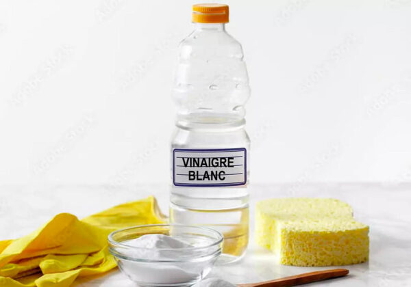 Solution de nettoyage spéciale pour machine à glaçons