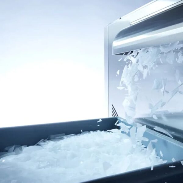 GLACE ÉCAILLES PRODUITE PAR LES MACHINES MAJA