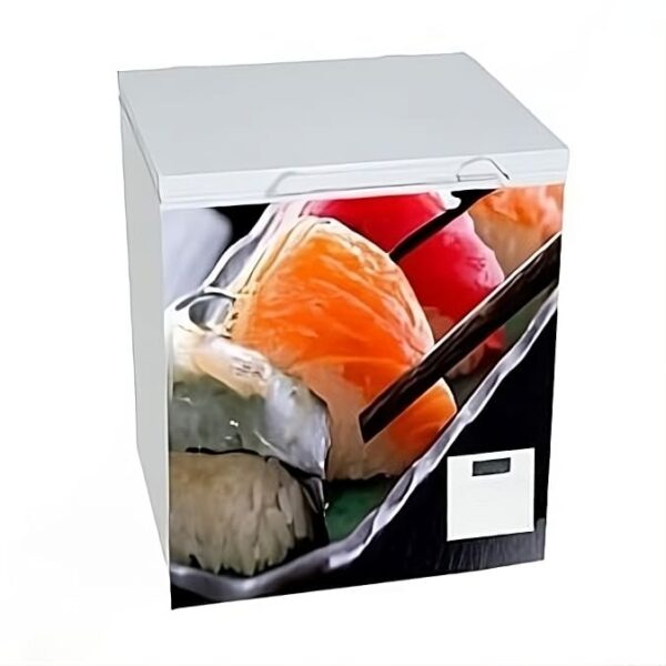 Petit congélateur -60° stockage longue durée durée